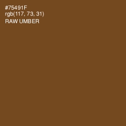 #75491F - Raw Umber Color Image